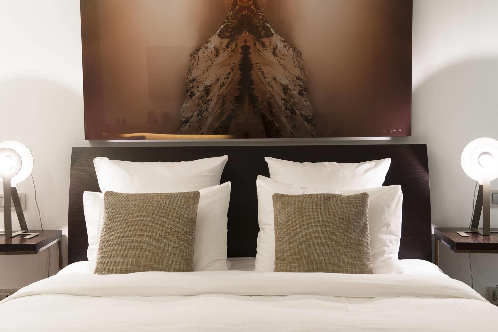 ז'נבה La Cour Des Augustins Boutique Gallery Design Hotel מראה חיצוני תמונה